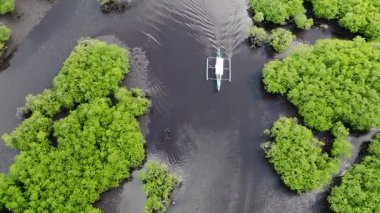 Mangrov ormanı ve yeşil gölgelikle çevrili geniş bir nehirden geçen küçük bir tekne. Siargao, Filipinler.