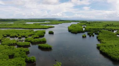 Yeşil mangrov adaları arasında geniş bir tropikal alan boyunca uzanan karanlık bir nehir esiyor. Siargao, Filipinler.