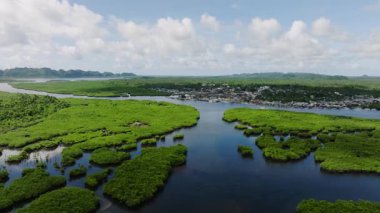 Mangrove ormanı kasabaya ve dağlara doğru uzanıyor. Siargao, Filipinler.