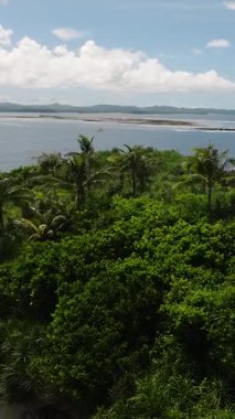 Kayalık adanın üzerinde yeşil çalılarla kaplı palmiye ağaçları yükseliyor. Siargao, Filipinler.