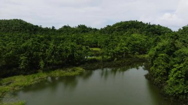 Sakin su ve yakın çevresindeki yoğun tropikal ağaçlarla sulak alan. Siargao, Filipinler.