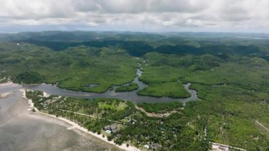 Nehir kanalları bulutlu gökyüzünün altında kıyıya akan Mangrove ormanları. Siargao, Filipinler.