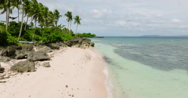 Beyaz kumsalda hindistan cevizi ağaçları ve Carabao Adası 'nda berrak okyanus dalgaları. San Jose. Romblon, Filipinler.