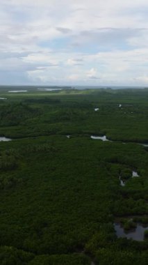 Kavisli nehir, kıyı yakınlarında bulutlu gökyüzünün altında yeşil tepeler bulunan sık mangrov ormanlarından akar. Siargao, Filipinler.