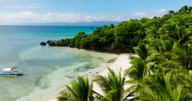 Temiz su üzerinde tekne ve Cobrador Adası 'nda hindistan cevizi ağaçları olan tozlu beyaz kumsal. Romblon, Filipinler.