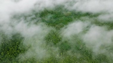 Yoğun yeşil tepelerin ve tropikal ormanların tepelerini beyaz bulutlar kaplıyor. Siargao, Filipinler.