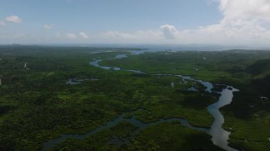 Mangrove Ormanı 'nın yukarısından, yukarıdan gün ışığında görülebilen dolambaçlı su yollarının manzarası. Siargao, Filipinler.