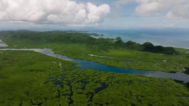 Mangrov ormanlarından akan nehir kanalları yeşil tepeler ve deniz ötesinde. Siargao, Filipinler.