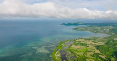 Tarımsal alanda çeltik pilavı, turkuaz deniz suyu ve mercanlarla kıyı şeridi. Tablolar Adası. Romblon, Filipinler.
