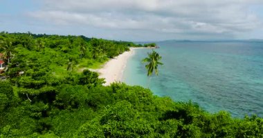 Yeşil deniz suyu ve mercanları olan güzel beyaz kumsal. Carabao Adası. San Jose, Romblon. Filipinler.
