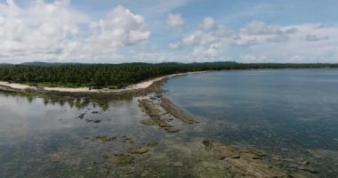 Hindistan cevizi ağaçları ve sakin deniz suyuyla kaplı sahil sahili. Siargao, Filipinler.