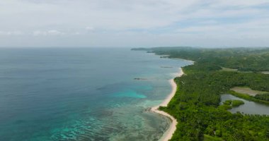 Şeffaf turkuaz deniz suyu, mercanlar ve beyaz kumlu plaj. Santa Fe, Tablas, Romblon. Filipinler.