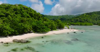 Hindistan cevizi ağaçları ve temiz deniz suyuyla beyaz kumsalın havadan görünüşü. Romblon, Romblon. Filipinler.