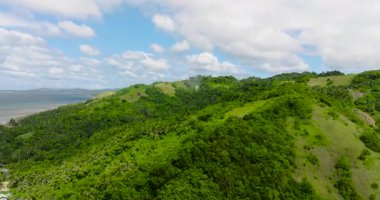 Yeşil bitkileri ve ormanı olan bir dağ. Santa Fe, Tablas, Romblon. Filipinler.