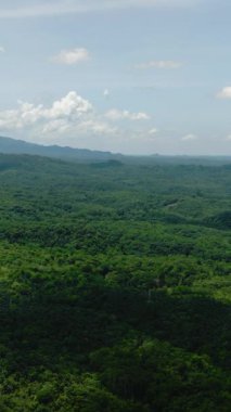 Tropik dağ vadisi ve bitki örtüsü. Mavi gökyüzü ve bulutlar. Mindanao, Filipinler. Dikey görünüm.