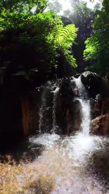 Tropikal ormanlarda eğrelti otları ve bitkilerle çağlayan şelale. Baslay, Zenciler, Filipinler.