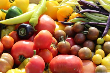 Bahçeden toplanan sebzeler yakından bakılır: domates, fasulye, salatalık