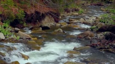 Small waterfall in spring. Rapids in small mountain river flowing in forest.