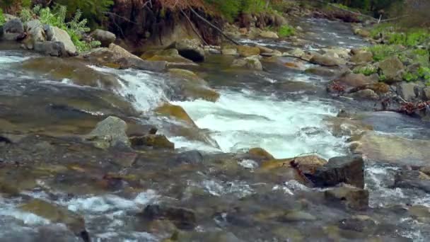 Kayalık nehir kıyıları arasında akan şelaleler ve akıntılar ile dağ nehri — Stok video