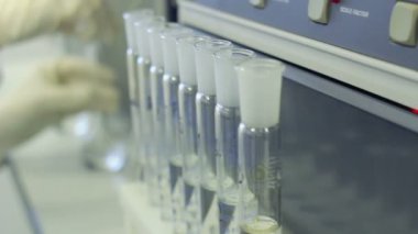 Cam şişeyle çalışan kimyager. Tıbbi laboratuvarda test tüpleri sırası