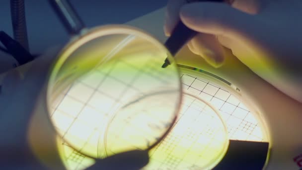 Scientist with magnifying glass — Stock Video