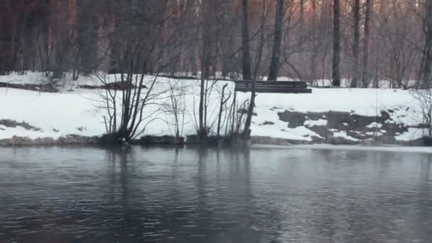 겨울 강입니다. 안개와 겨울 강의 파노라마입니다. 겨울 배경 — 비디오