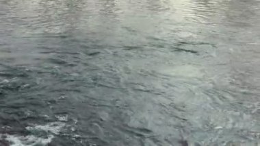 Su yüzeyi. Nehir su yüzeyi. Nehir akışı. Portre. Akan su