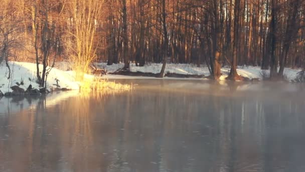 Nebbia sul fiume foresta in inverno. Nebbia sul fiume invernale. Fiume nella foresta invernale — Video Stock