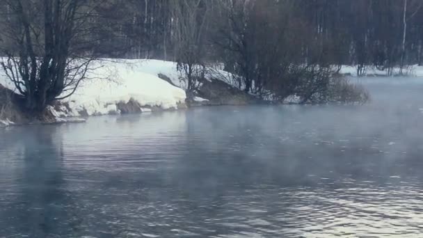 Winters tafereel. Mist over de rivier van de winter. Forest river in de winter. Mistige ochtend — Stockvideo