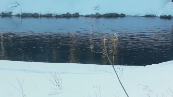 Vinter river. Floden yta med reflektioner. Snön täckte åstranden — Stockvideo