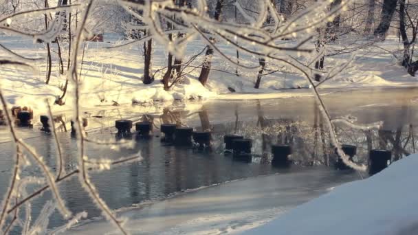 Winter rivier in park. Winter wonderland. Bevroren rivier in winter park — Stockvideo