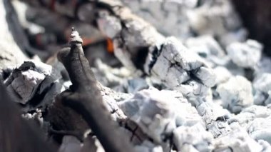 Kömür. Yanan kömür. Portre. Ahşap kor mangal için hazırlanıyor