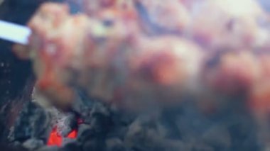 Kavrulmuş domuz eti et mangal. Odun kömür ızgara et. Izgara et. Portre