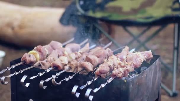 Carne cruda asando en mangal. Trozos de carne cocinados en pinchos de metal — Vídeos de Stock