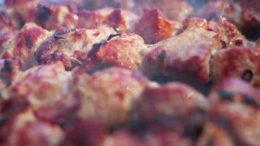 Pişmiş et. Portre. Izgara et. Makro. Piknik için şiş kebap yemek