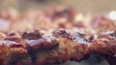 Izgara et. Şiş şiş üzerinde yemek. Mangal üzerinde kızarmış et