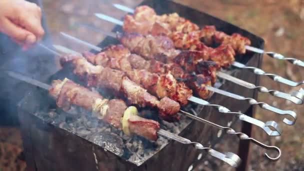 Hombre cocinar shish kebab marinado, carne asar a la parrilla en brochetas de metal . — Vídeo de stock