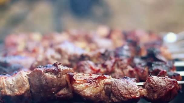 고기는 꼬치에 구운. 근접 촬영입니다. 요리 시 케밥입니다. 바베 큐 파티 음식 — 비디오