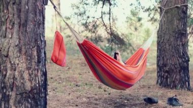 Hamak rahatla. Orman, hamakta akıllı telefon kullanan genç kadın