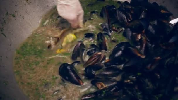 Mosselen in de pan. Chef-kok neemt Mossel schelpen uit de pan. Heerlijke zeevruchten schotel — Stockvideo
