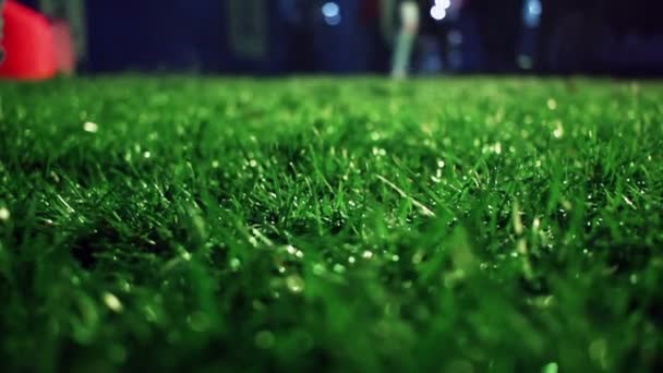 Hierba verde. Primer plano. Césped cerca. Fondo de hierba. Campo de fútbol de hierba verde — Vídeo de stock