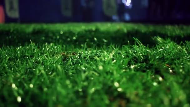 Fond d'herbe verte. Soirée stade. gazon vert terrain de soccer fond .