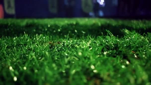 Grüner Gras Hintergrund. Stadionnacht. grünes Gras Fußballfeld Hintergrund. — Stockvideo