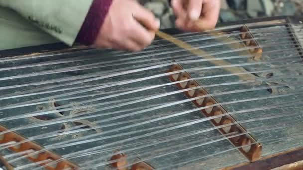 Old musical instrument. Cimbalom player play music on string instrument — Stock Video