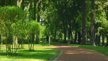 Parkta çalışan kadın. Fitness kadın açık koşu. Parkta eğitim runner