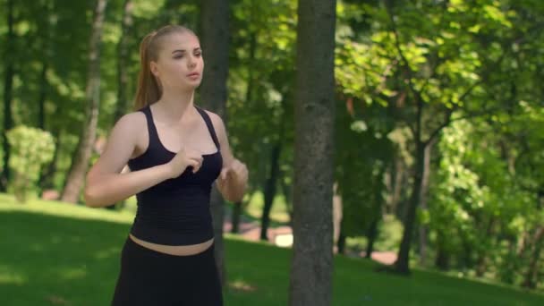 魅力的な女性ランナーが公園でストレッチします。フィットネス運動を行うフィットの女の子 — ストック動画