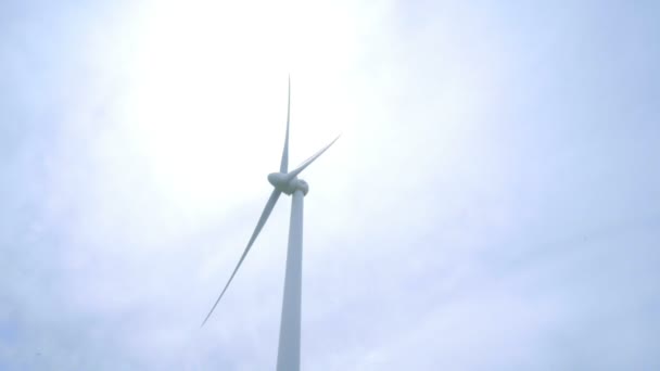 De elektriciteitsproductie van de wind. Close-up van windgenerator in maïsveld — Stockvideo