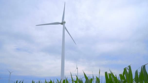 風力発電風力発電。空の背景でフィールドに風力タービン — ストック動画