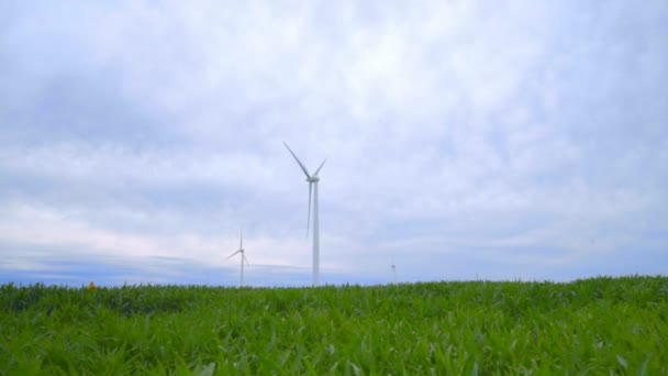 Větrné farmy v zeleném poli. Větrné turbíny farmy. Větrná technika — Stock video