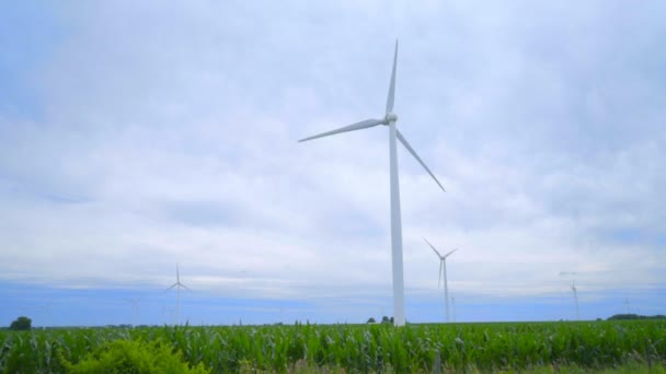 Windkraftanlagen. Schreckschusswaffe auf Feld mit Windrädern — Stockvideo